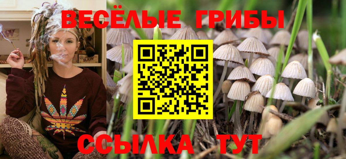 Галлюциногенные грибы Psilocybine cubensis  Вход с VPN  Унеча 